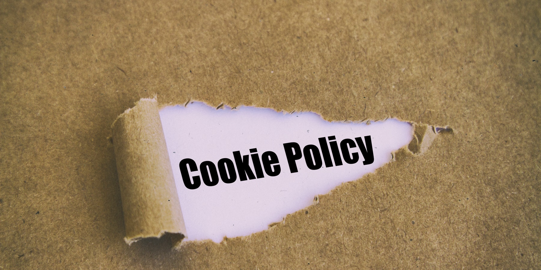 Cookie Policy - HolidayFox
