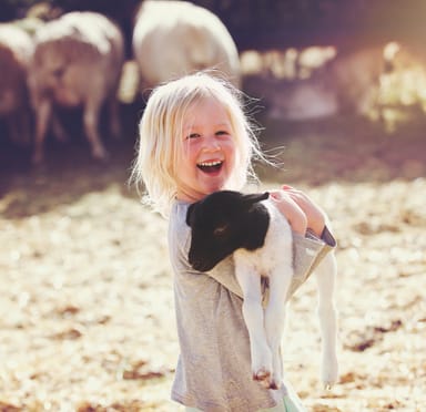 Childrens Farms and Petting Zoos