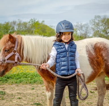 Horse Riding