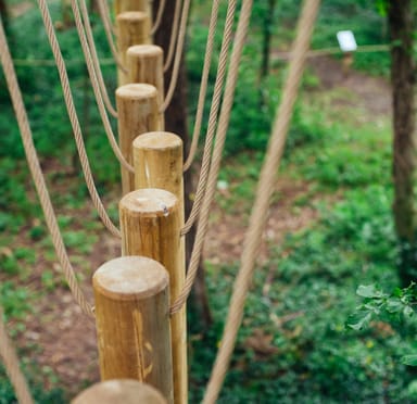 Activity Centres