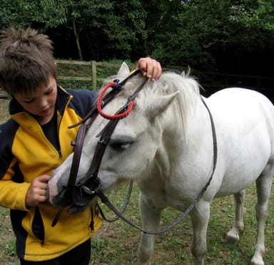 Farm Activities