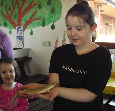 Activity Centres