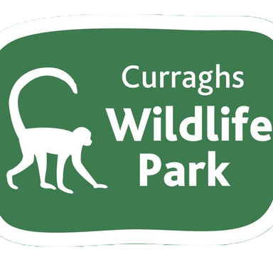 Land and Outdoor Activities