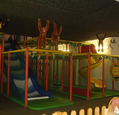 Sports and Activities