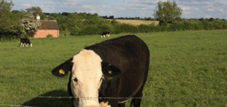 Woodmill Farm Certificated Location