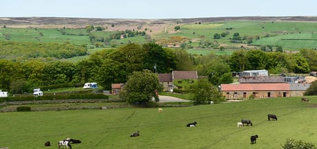 Wild Slack Farm