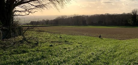 Quarry Farm 
