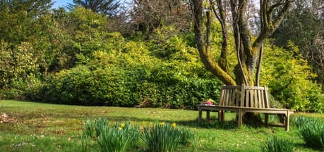 Bramley Cottage