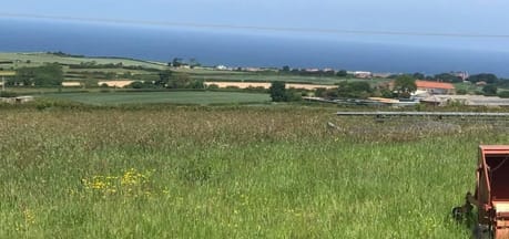Selly Hill Farm Certificated Site