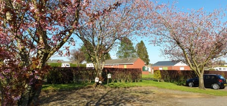 Braids Caravan Park