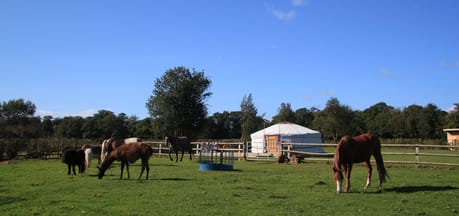 Glamping West Midlands