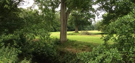 Porte Meadow Campsite