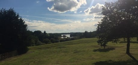 The Park Of Brandedleys