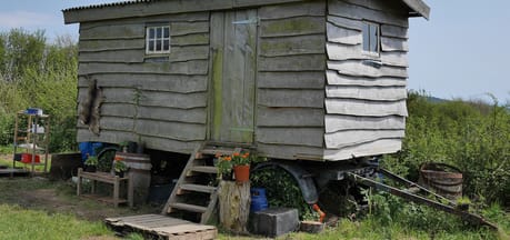Brig's Farm