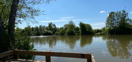 Carney Pools