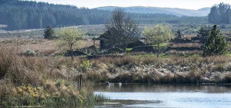 Rivox Bunkhouse