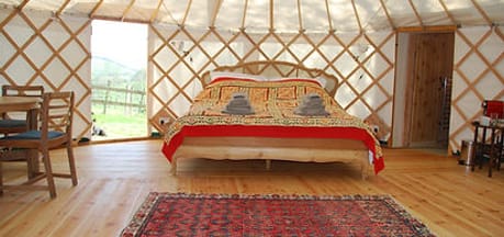 Walnut Farm Glamping