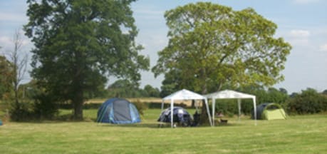 White Pump Farm
