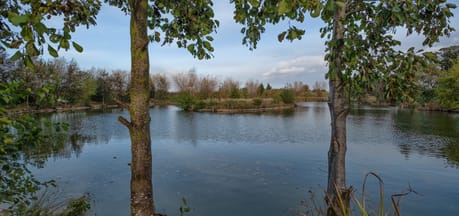 Oak Tree Fishery