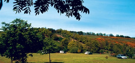 Lauder Camping And Caravanning Club Site