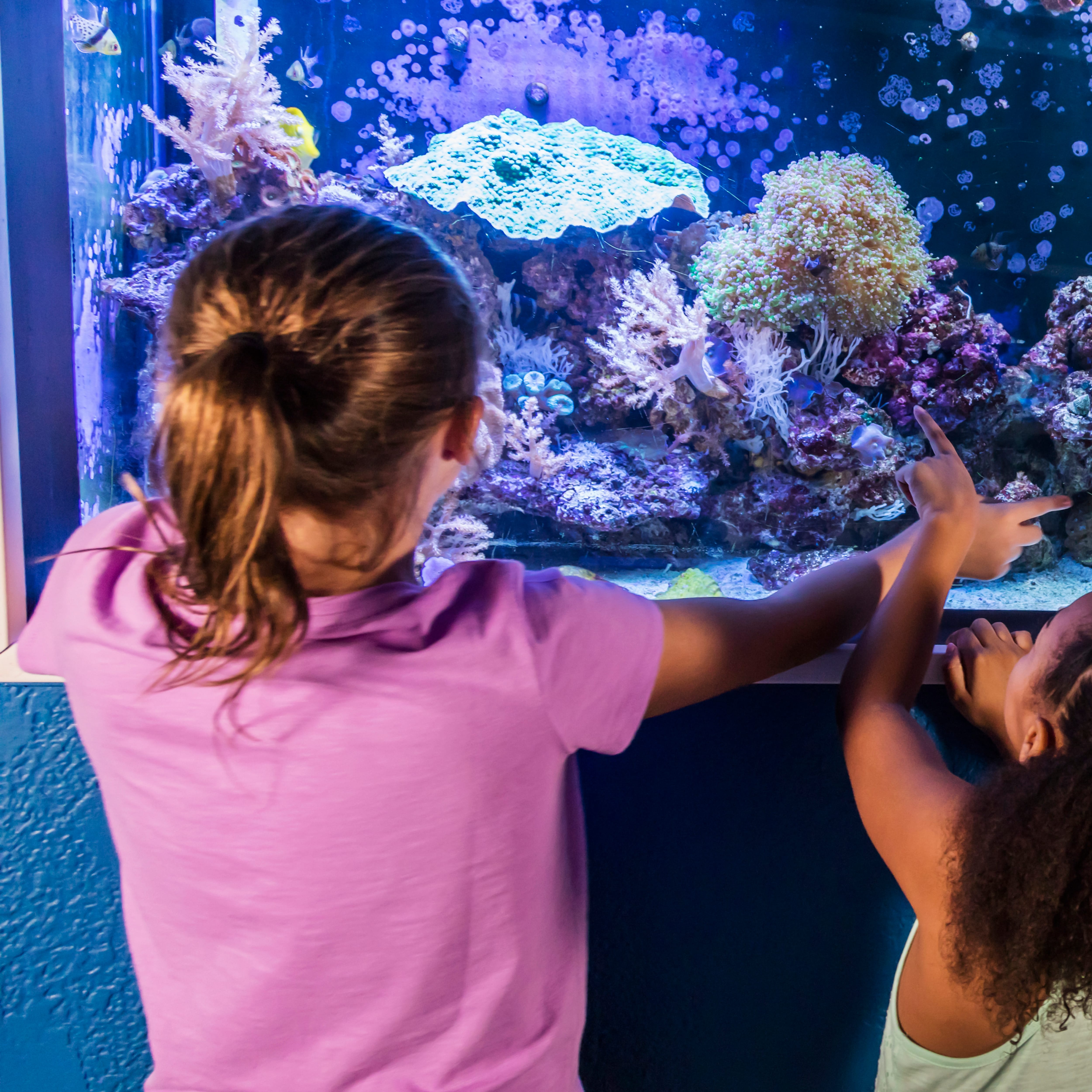 Aquariums