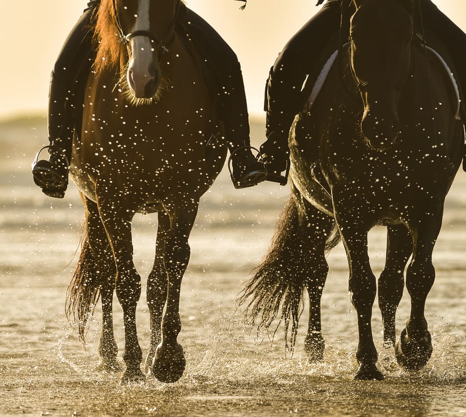 Horse Riding in Wiltshire, South West England, UK