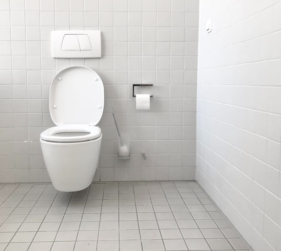 Stays with toilets in Devon, South West England, UK