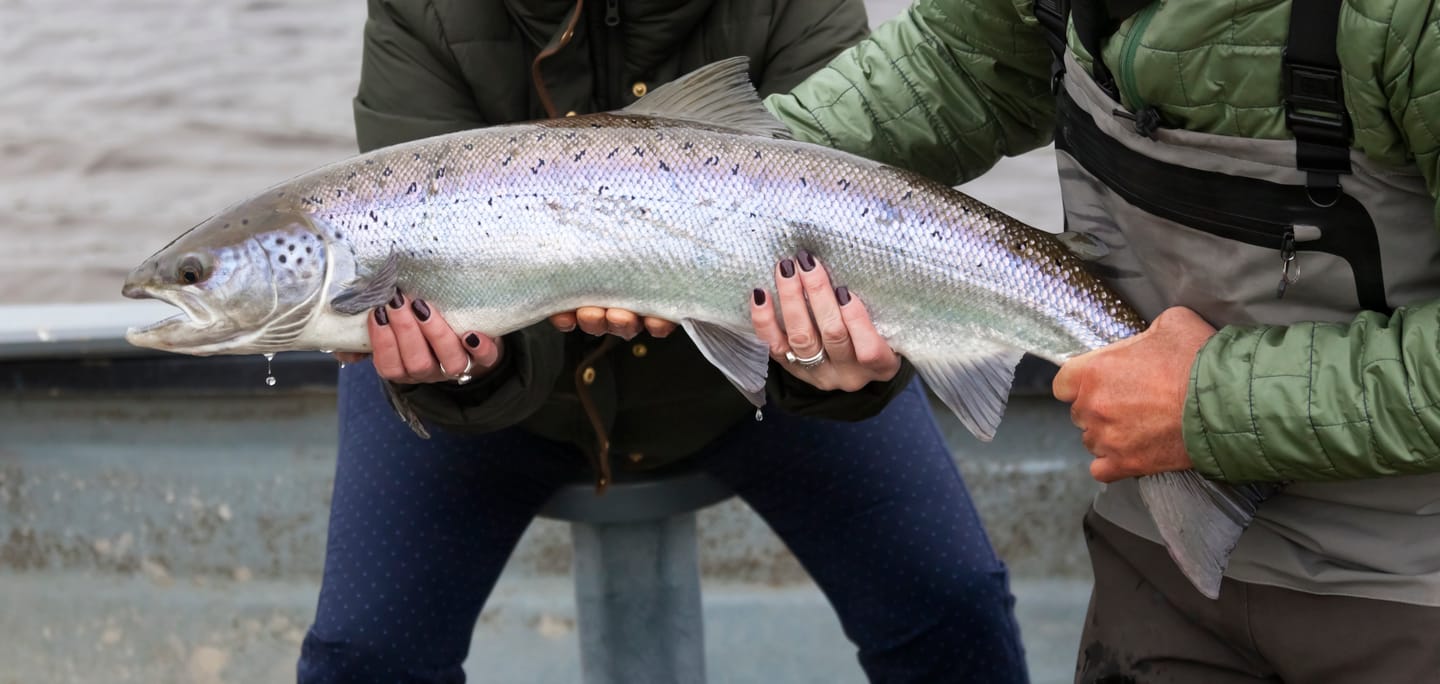 Fishing