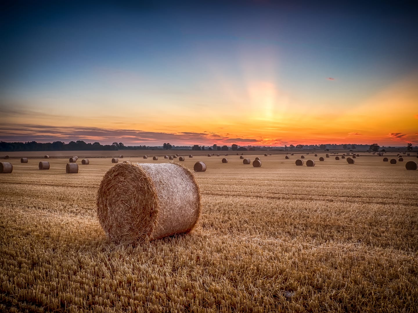 Countryside