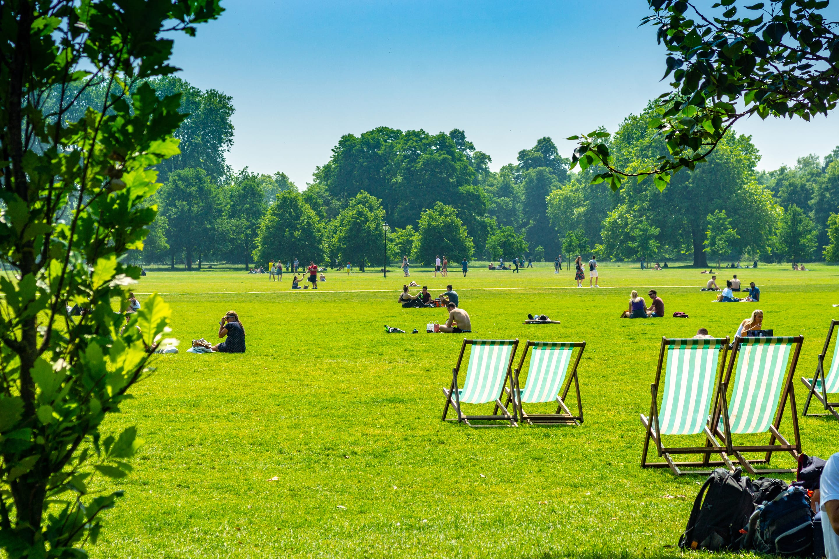 Park