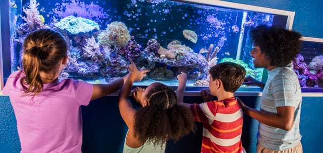 Aquariums