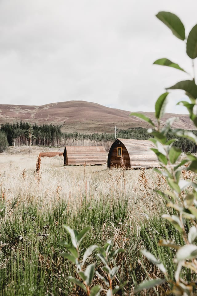 Cabin