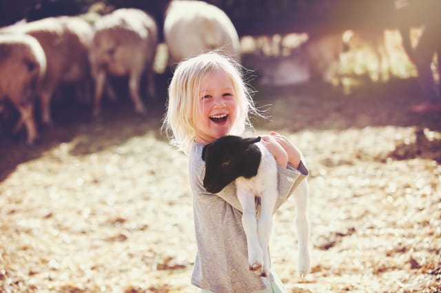 Childrens Farms and Petting Zoos