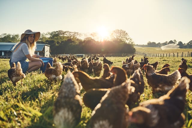 Farm Stay