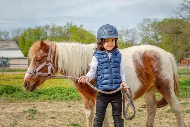 Horse Riding