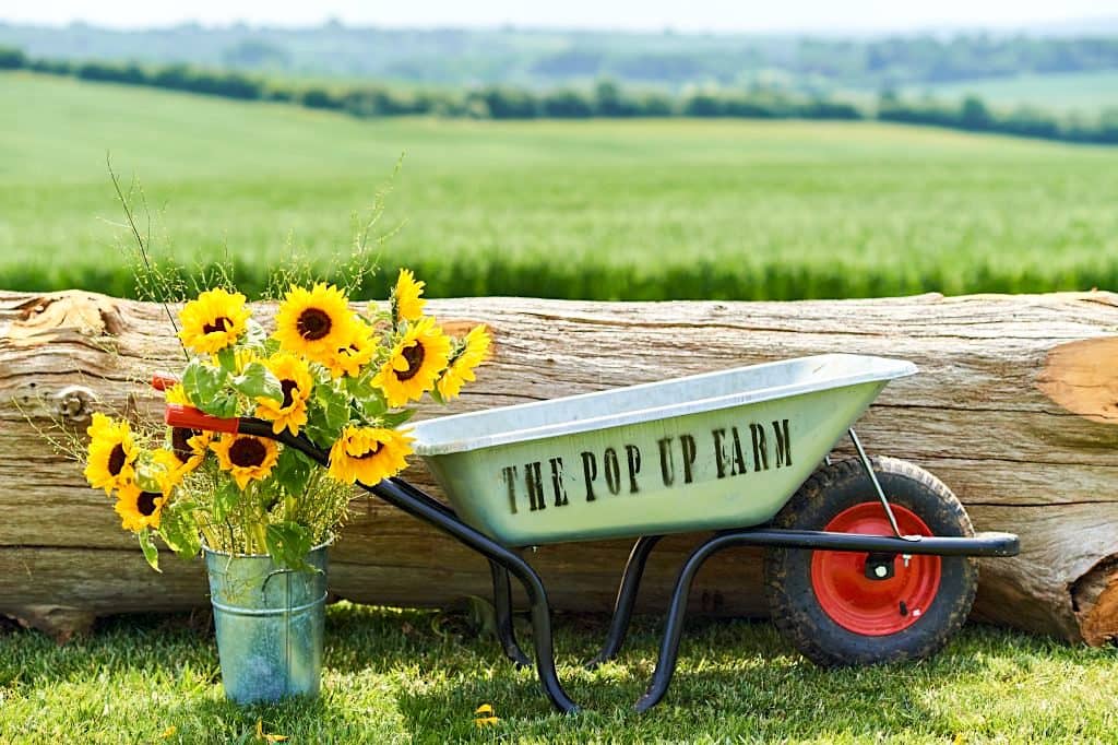 The Pop-Up Farm, Hertfordshire accommodation - Beautiful camping and glamping site featured in HolidayFox article