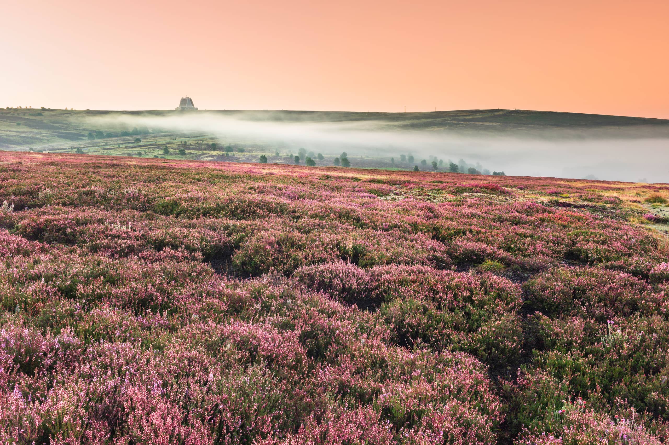 FAQs accommodation - Beautiful camping and glamping site featured in HolidayFox article
