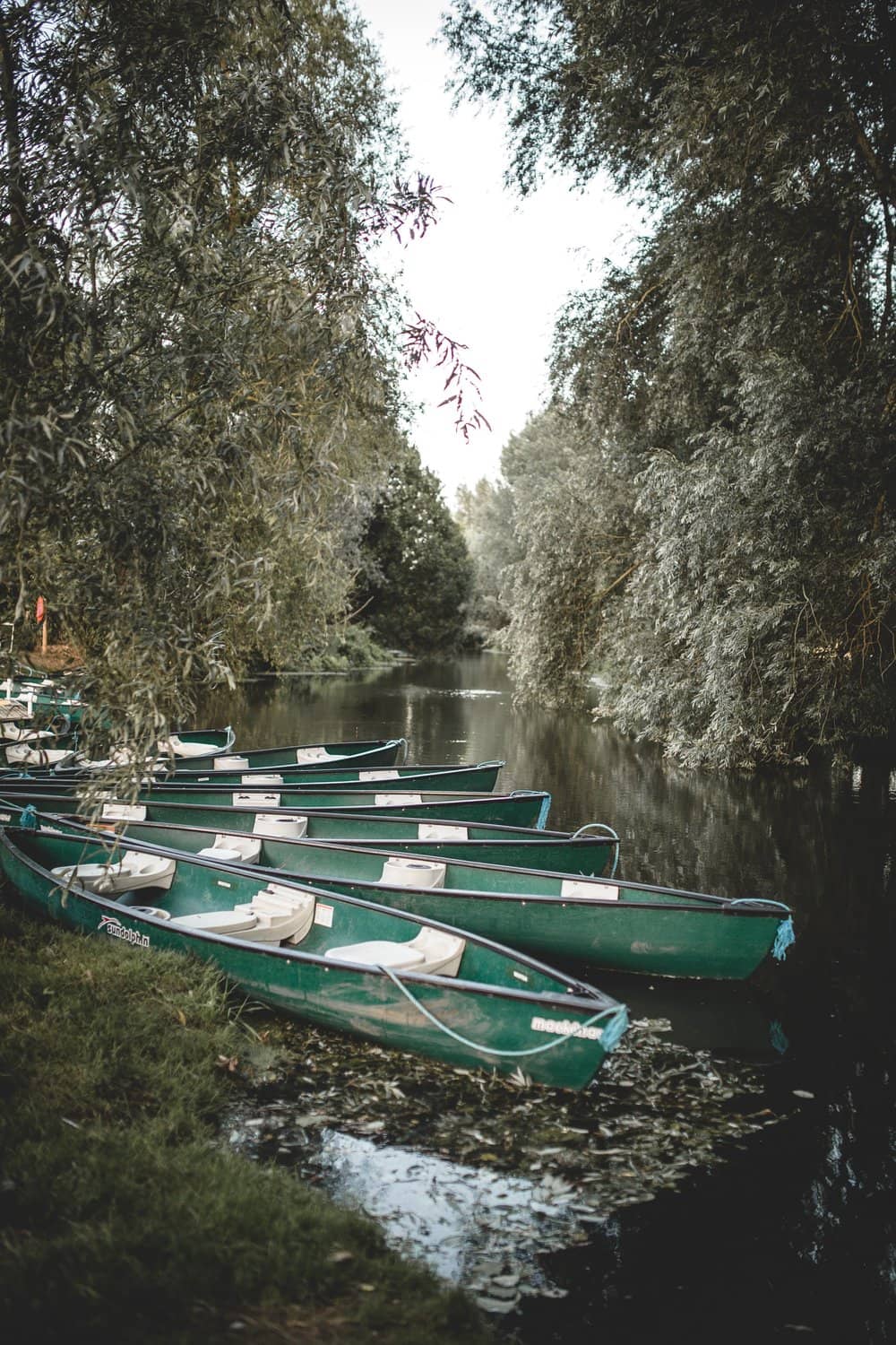 Rushbanks Farm Campsite, Suffolk accommodation - Beautiful camping and glamping site featured in HolidayFox article