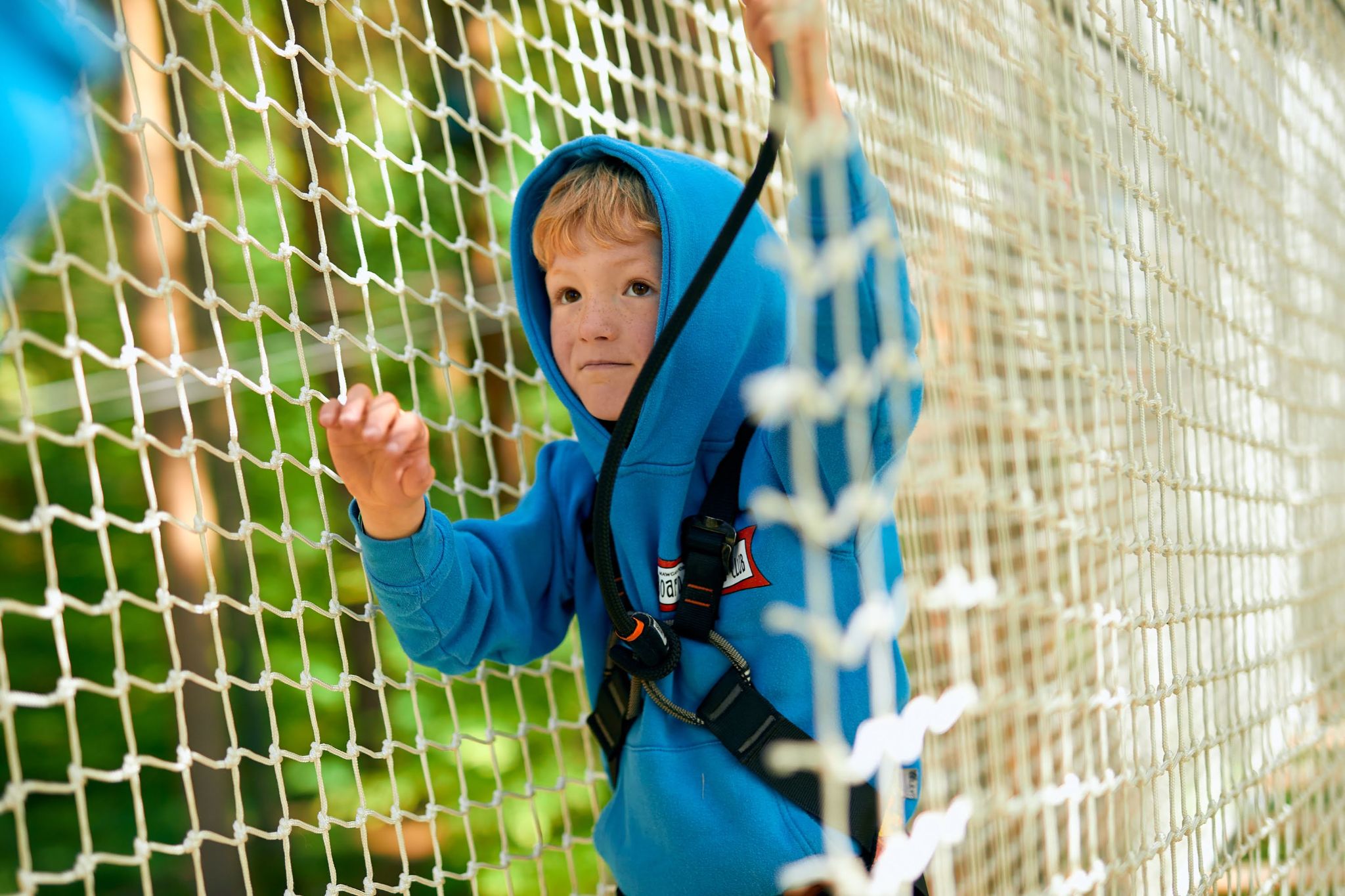 Go Ape Normanby Hall