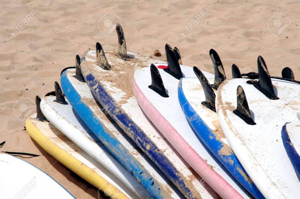 Coney Surf School