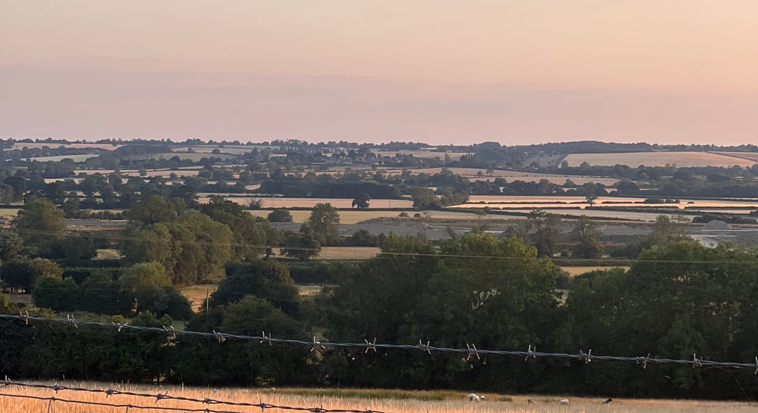 Evening light over the fields