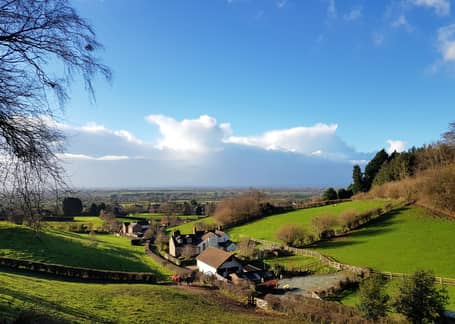 Cheshire