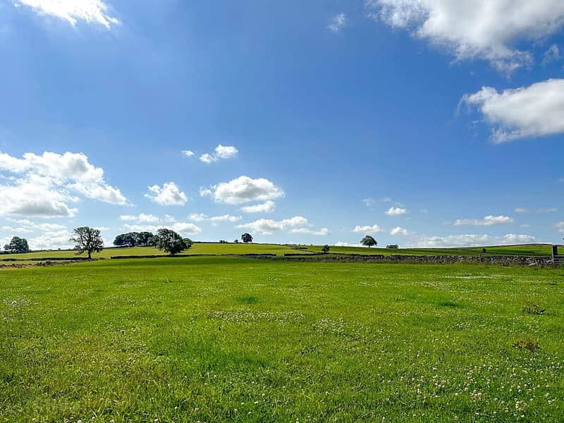 Motorhome Pitch