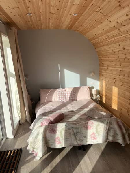 The Cabin