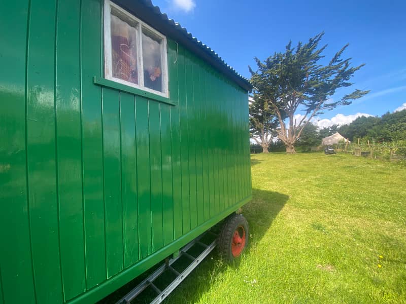 Lucy's Shepherd Hut