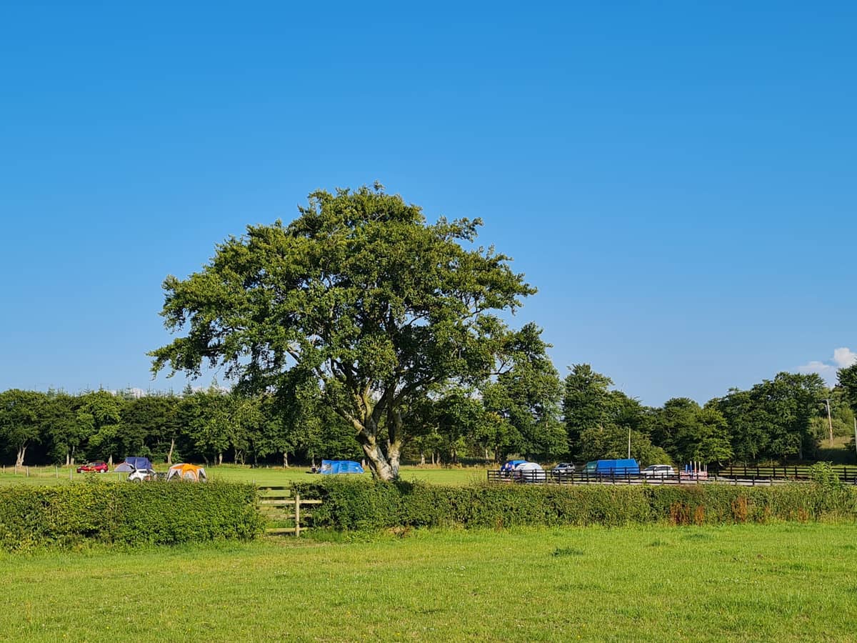 Non Electric Grass Tent Pitch