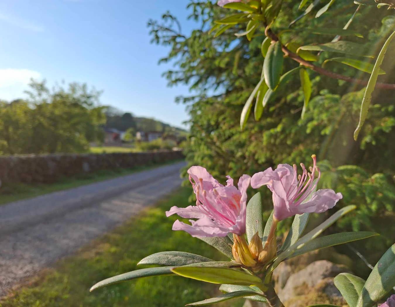 Glenearly Caravan Park