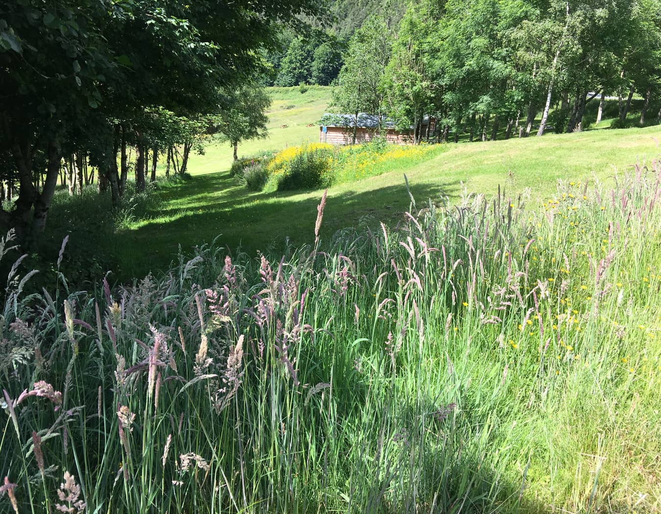 Pen y Bryn Glamping and Touring Site