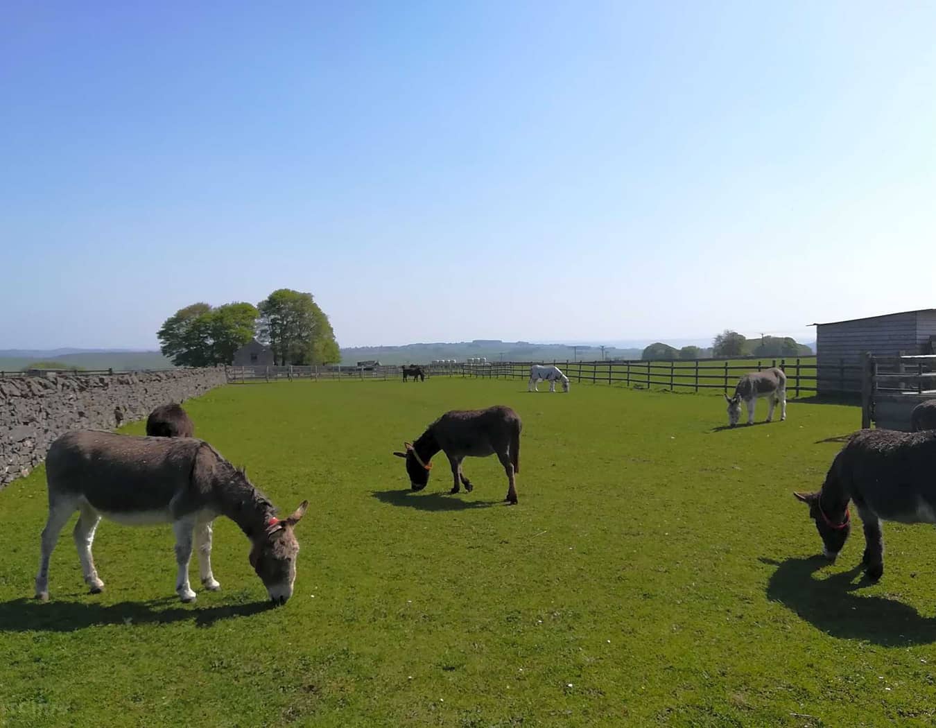 Greystones Nawab Camping, Caravanning & B&B