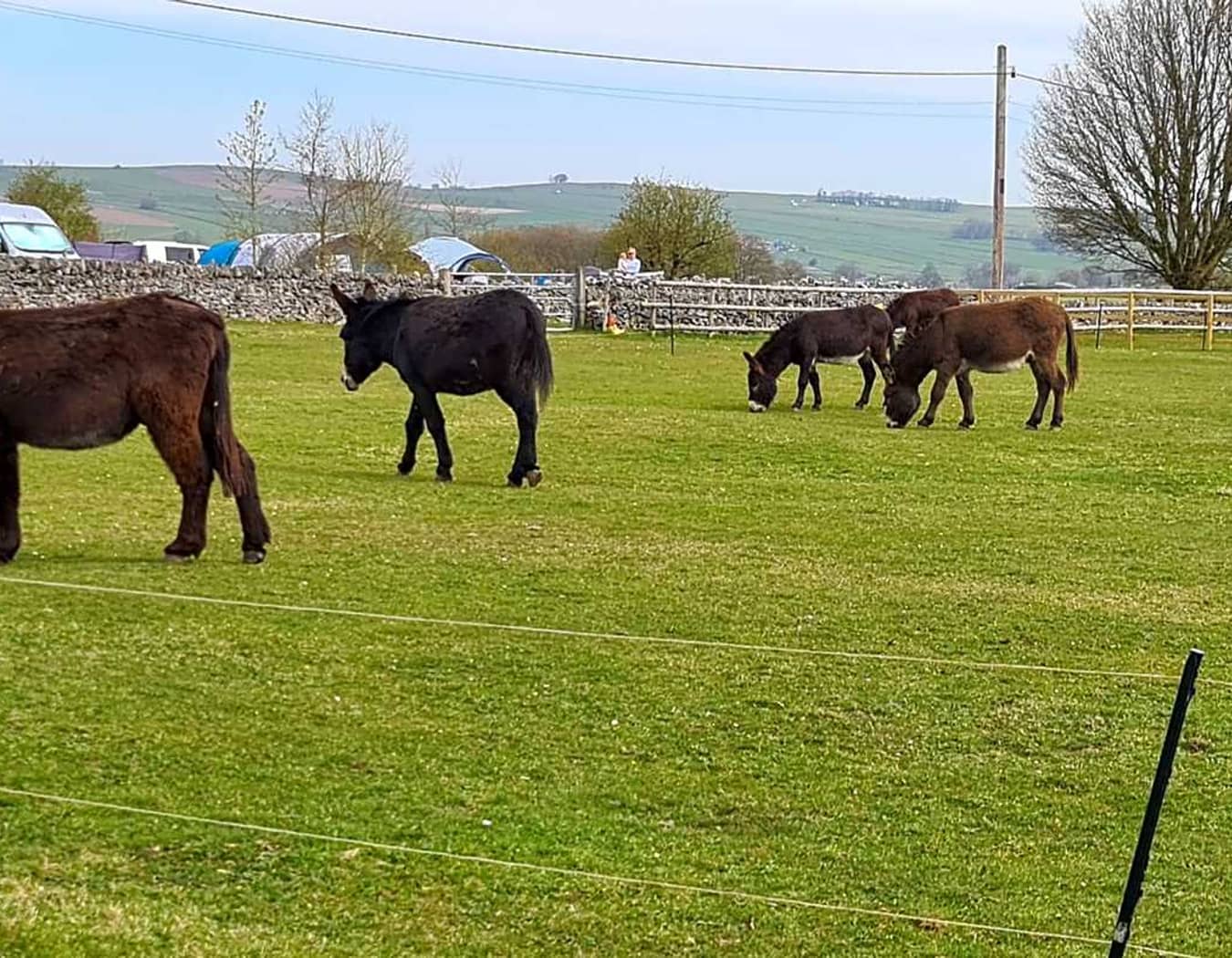 Greystones Nawab Camping, Caravanning & B&B